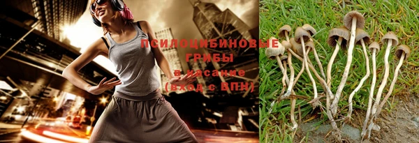 гашик Каменск-Шахтинский